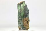 Gemmy, Emerald-Green Vivianite Crystals - Brazil #208706-2